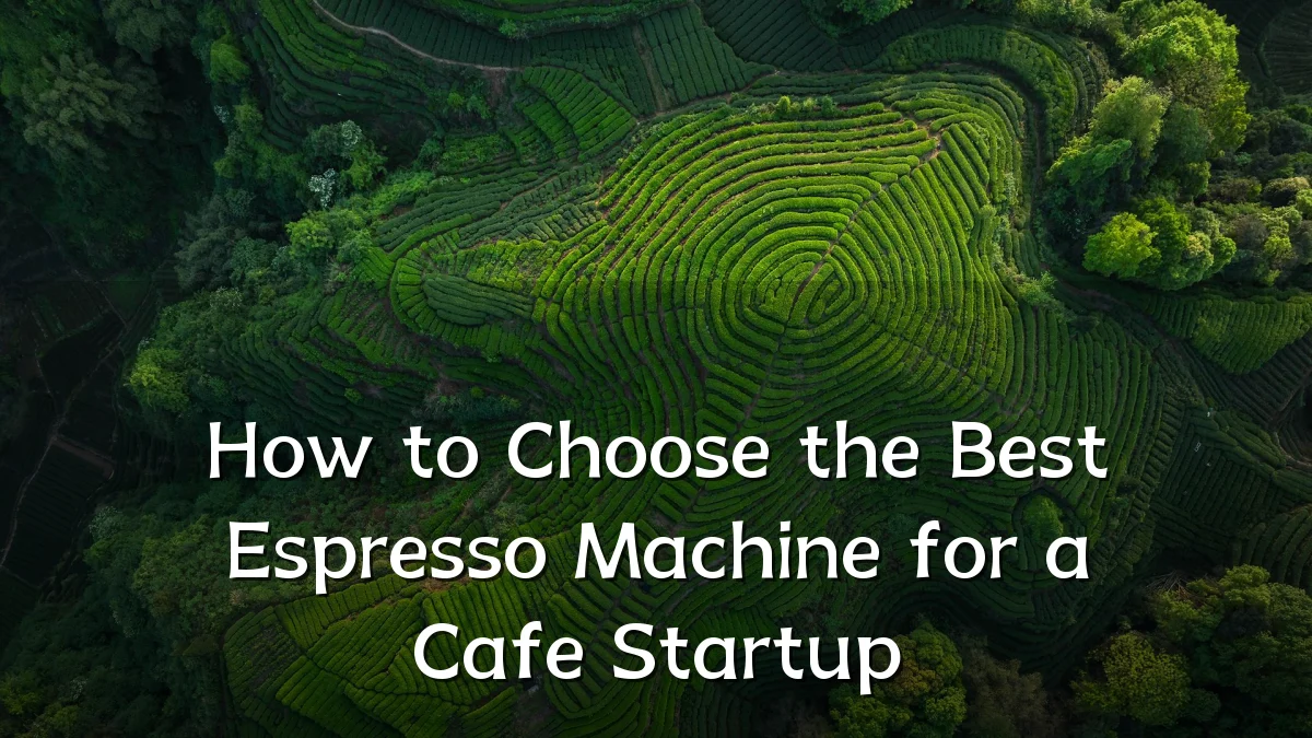 How to Choose the Best Espresso Machine for a Cafe Startup