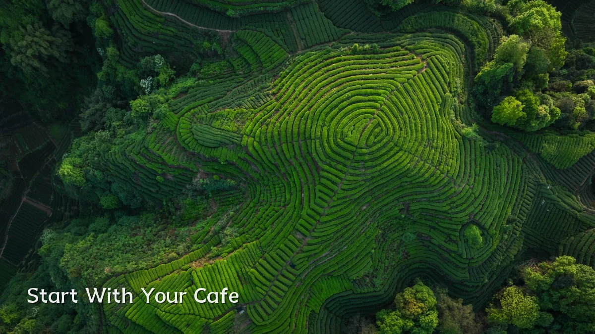 Start With Your Cafe