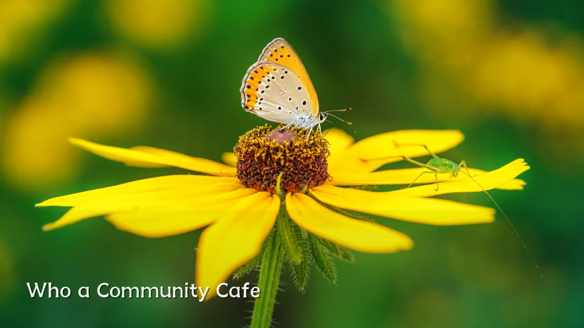 Who a Community Cafe