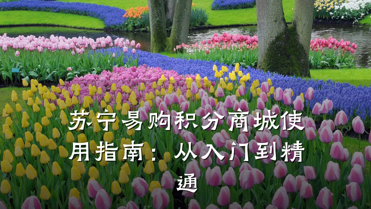 苏宁易购积分商城使用指南：从入门到精通