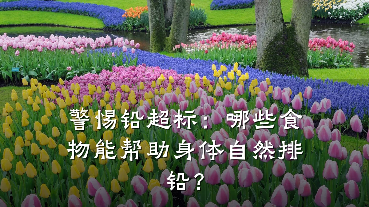 警惕铅超标:哪些食物能帮助身体自然排铅?