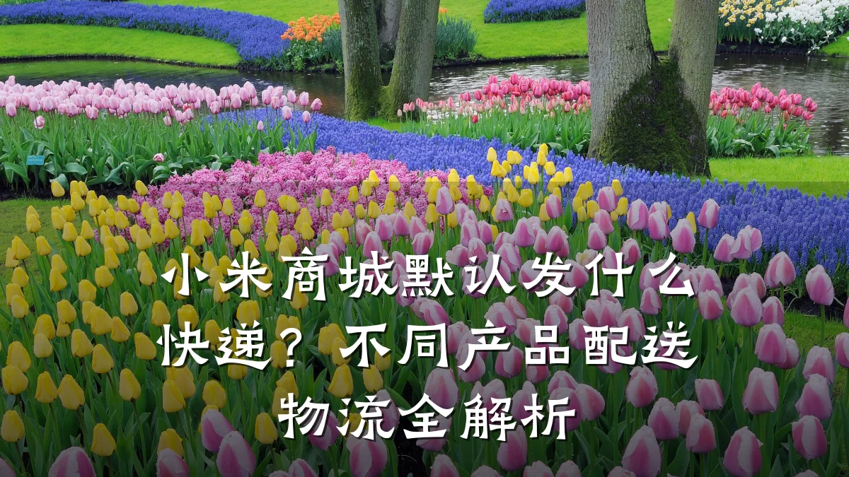 小米商城默认发什么快递?不同产品配送物流全解析