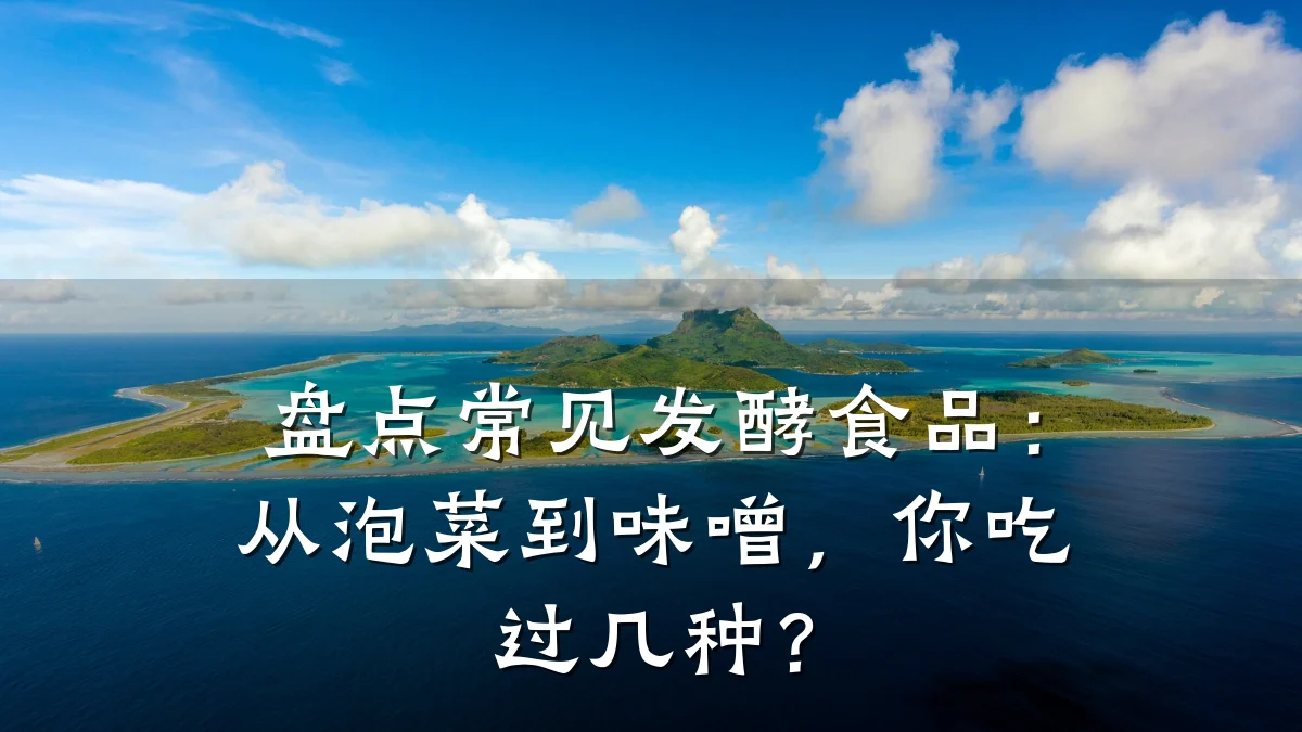 盘点常见发酵食品：从泡菜到味噌，你吃过几种？
