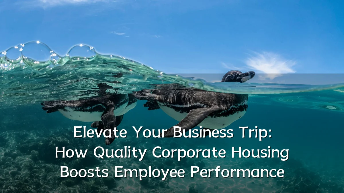 Elevate Your Business Trip: How Quality Corporate Housing Boosts Employee Performance