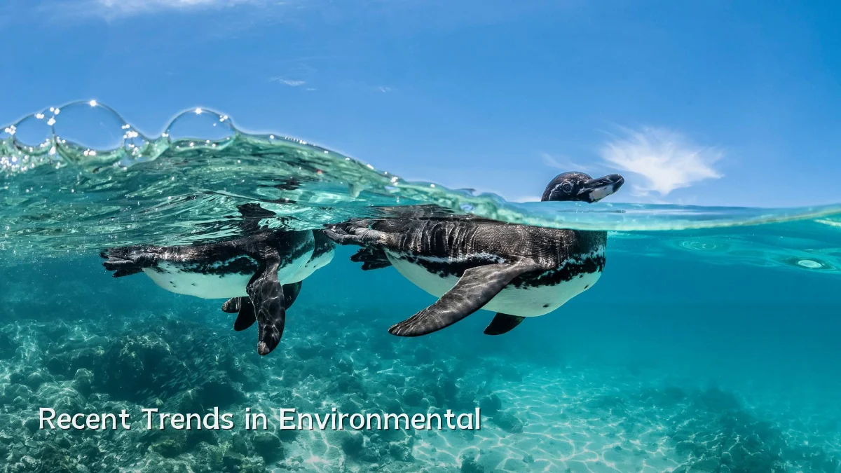 Recent Trends in Environmental