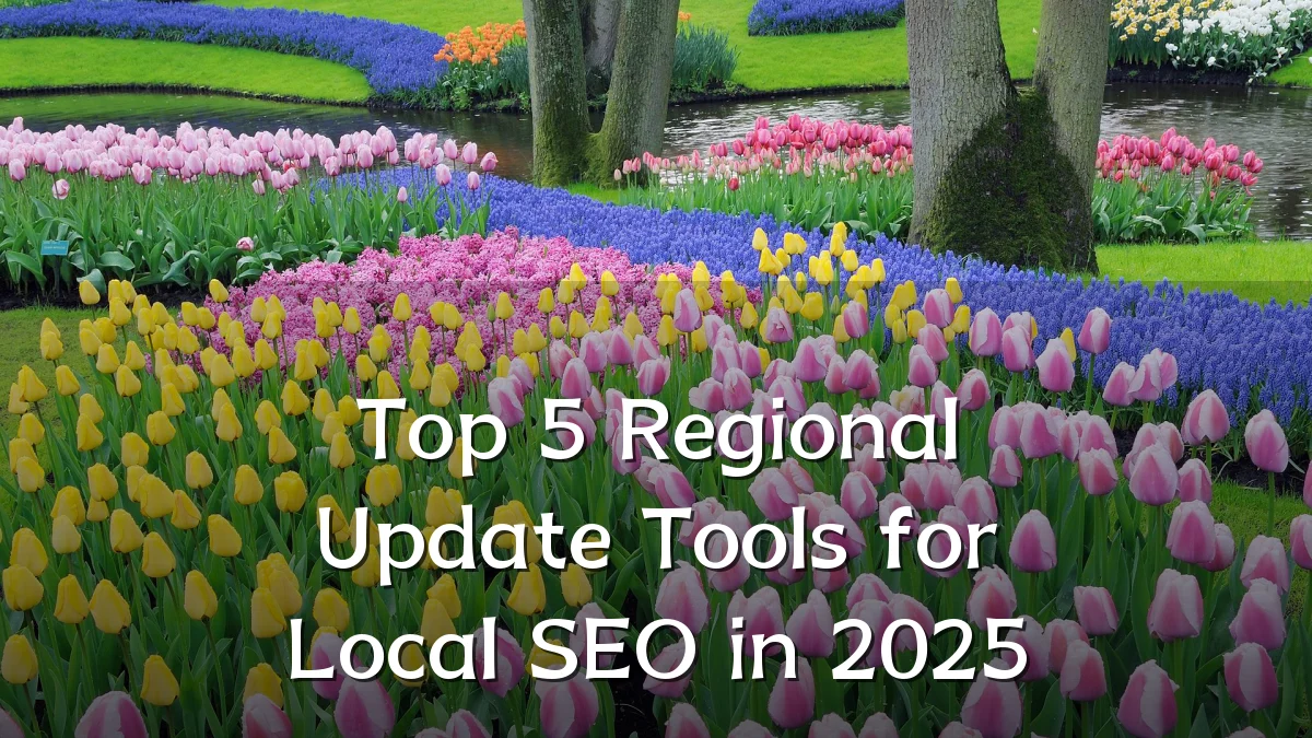 Top 5 Regional Update Tools for Local SEO in 2025