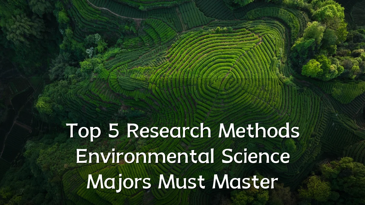 Top 5 Research Methods Environmental Science Majors Must Master
