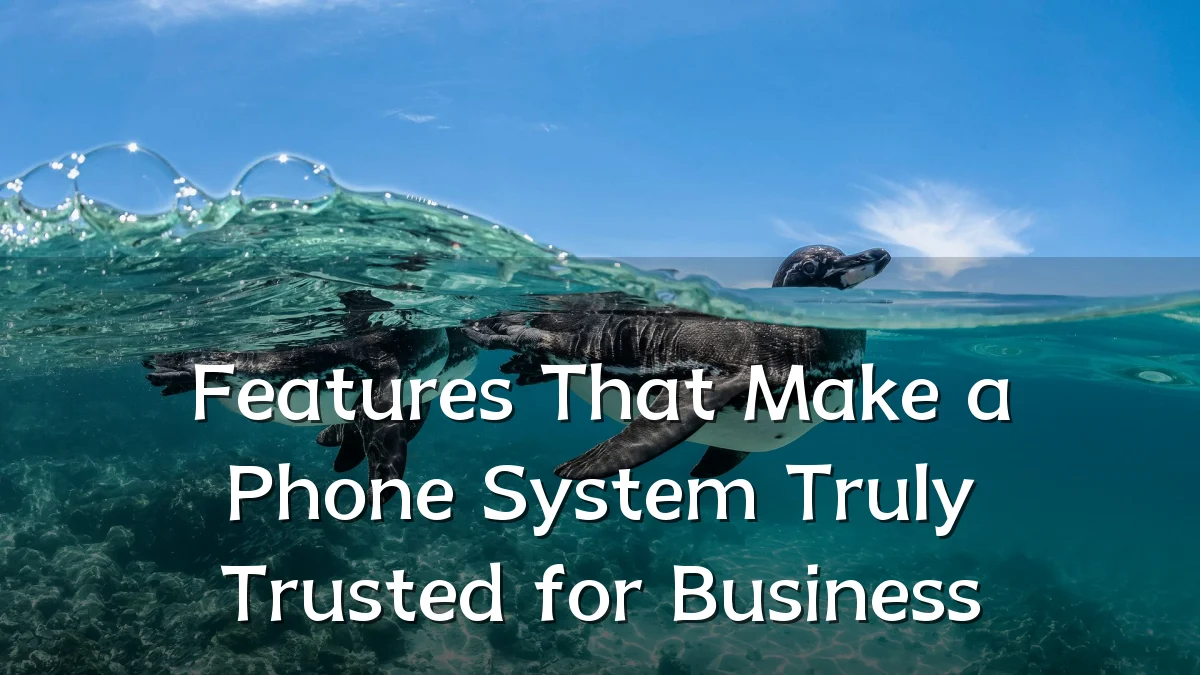 Features That Make a Phone System Truly Trusted for Business