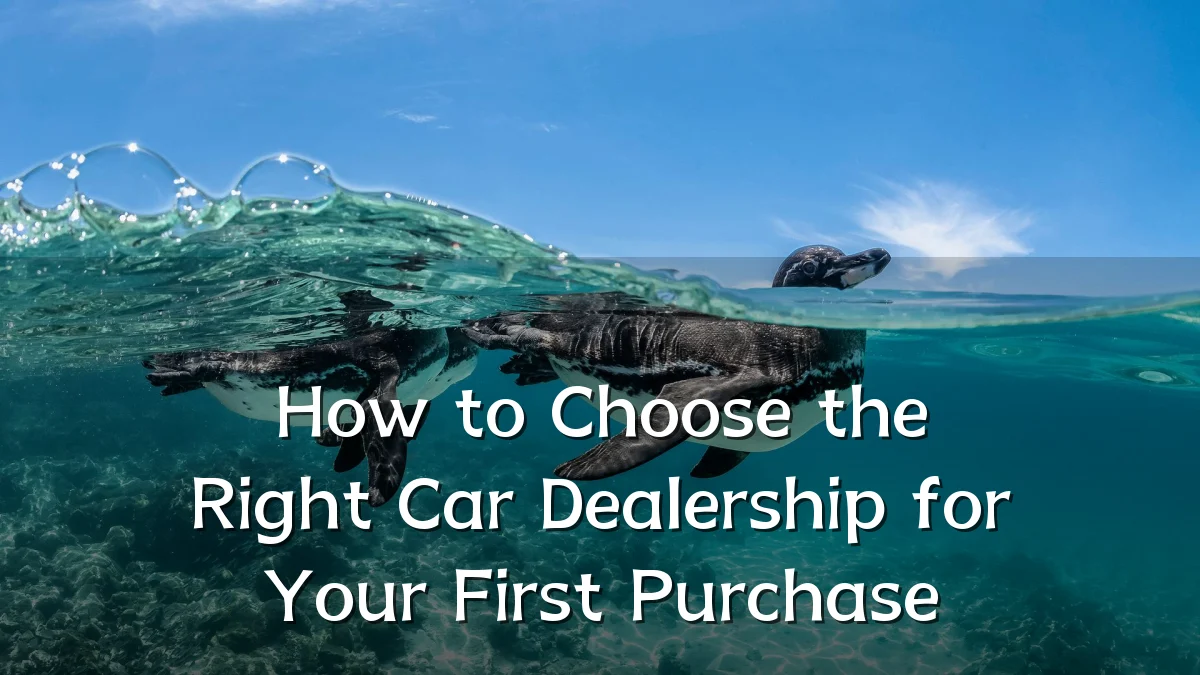 How to Choose the Right Car Dealership for Your First Purchase