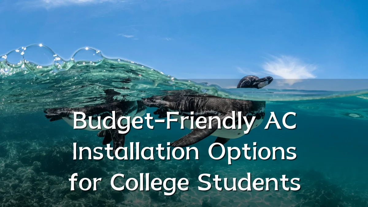 Budget-Friendly AC Installation Options for College Students