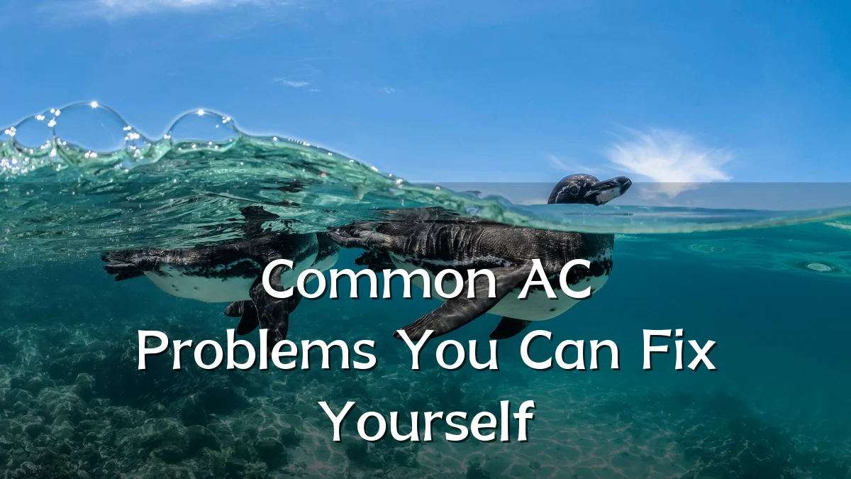 Common AC Problems You Can Fix Yourself