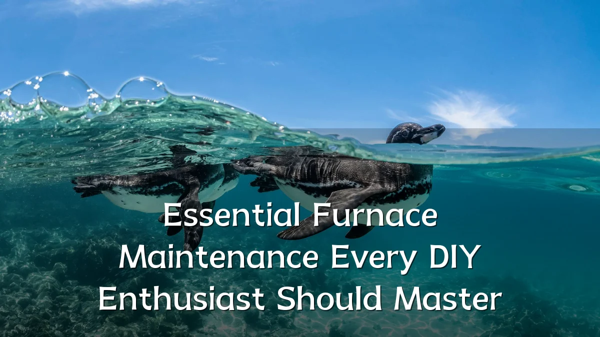 Essential Furnace Maintenance Every DIY Enthusiast Should Master