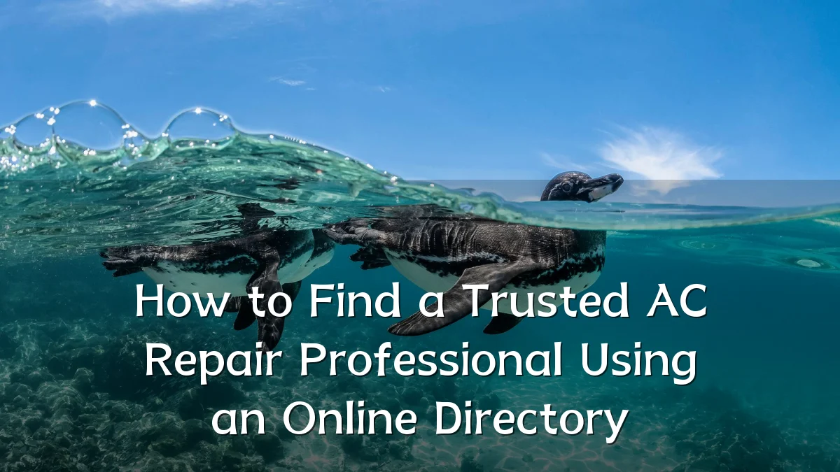 How to Find a Trusted AC Repair Professional Using an Online Directory