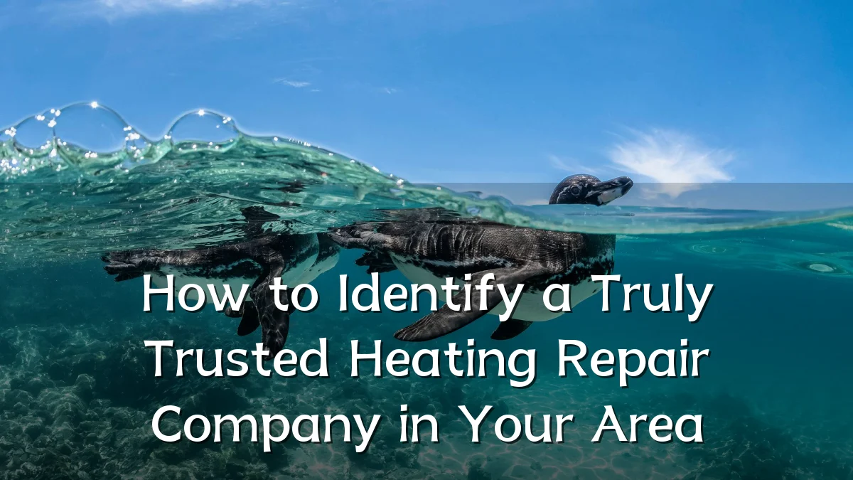 How to Identify a Truly Trusted Heating Repair Company in Your Area