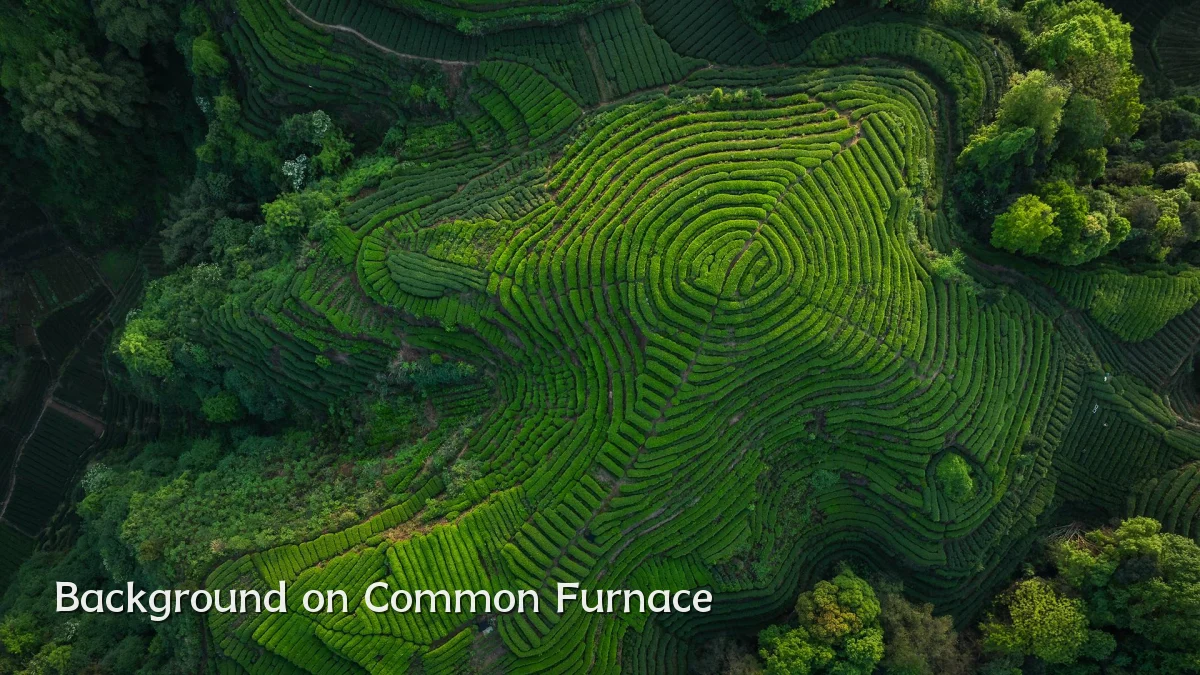 Background on Common Furnace