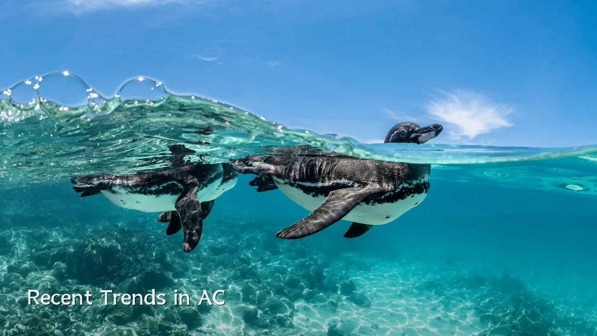 Recent Trends in AC