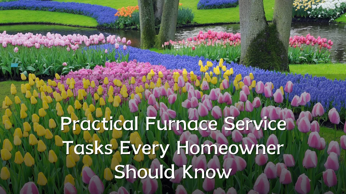 Practical Furnace Service Tasks Every Homeowner Should Know