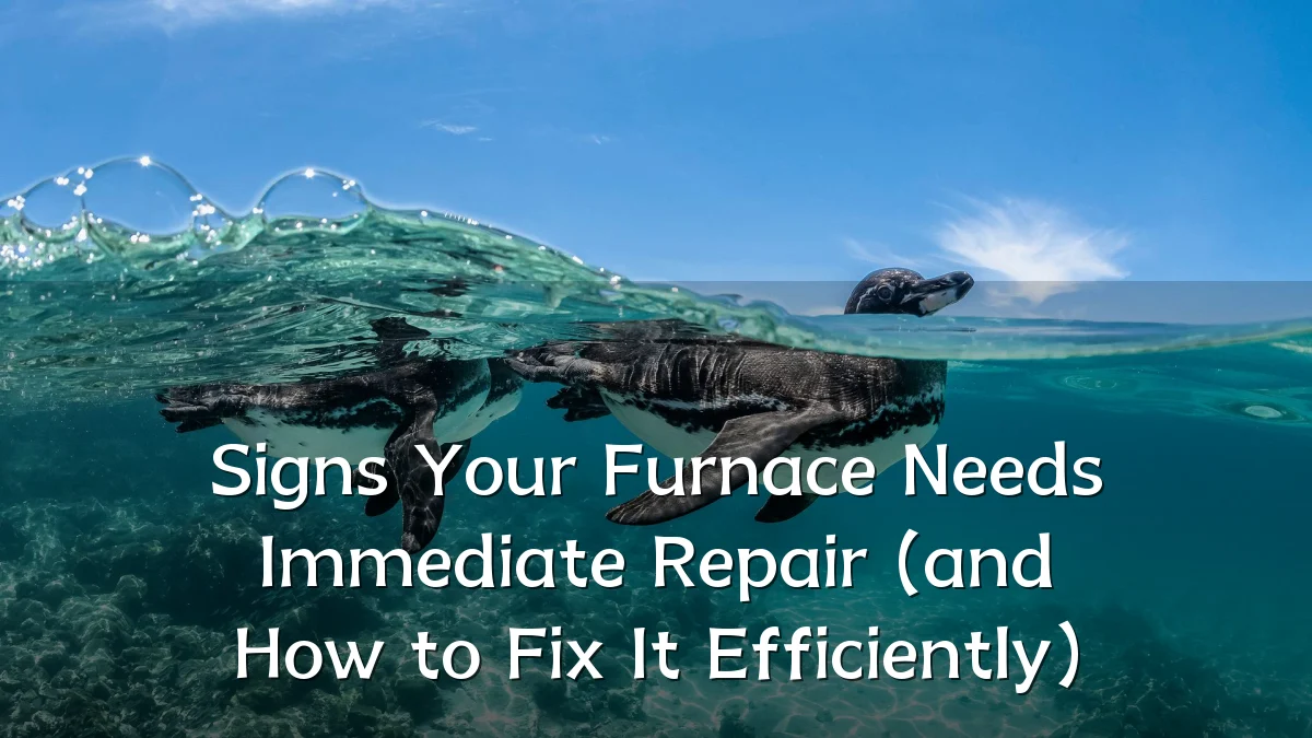 Signs Your Furnace Needs Immediate Repair (and How to Fix It Efficiently)
