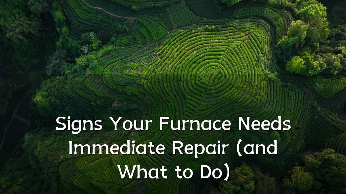 Signs Your Furnace Needs Immediate Repair (and What to Do)
