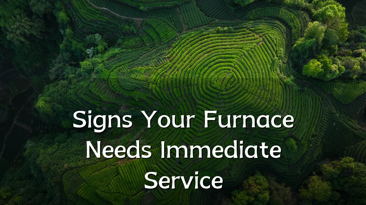 Signs Your Furnace Needs Immediate Service