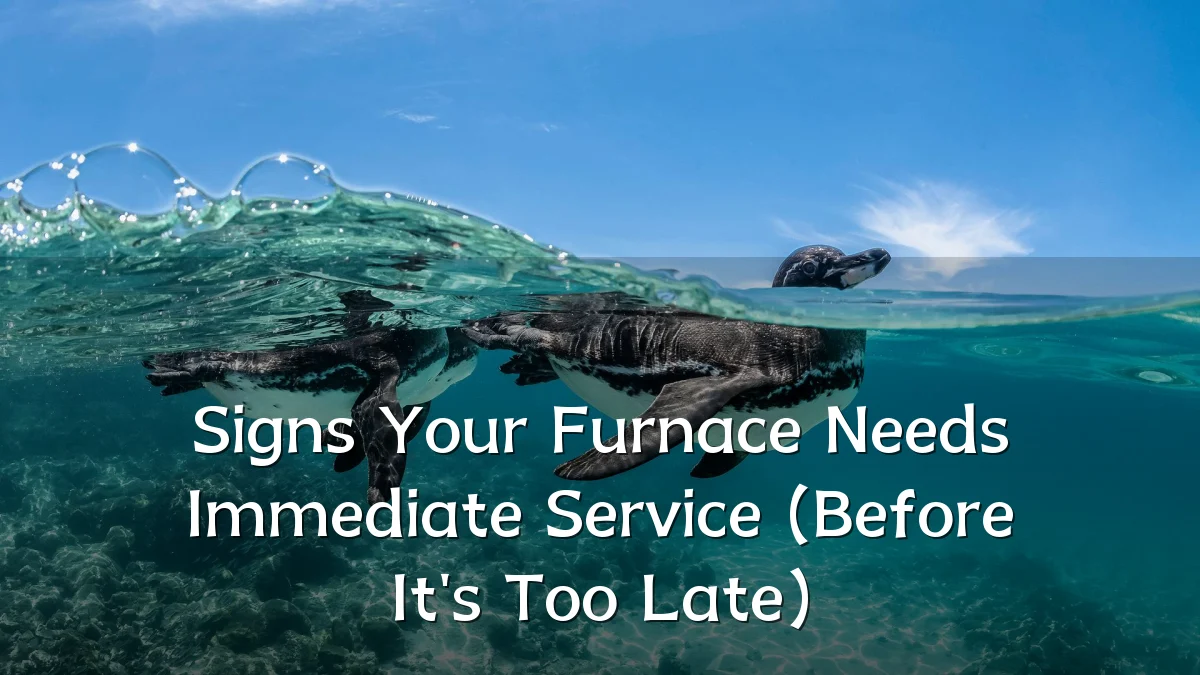 Signs Your Furnace Needs Immediate Service (Before It's Too Late)