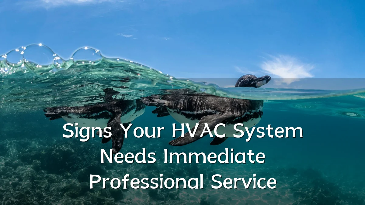 Signs Your HVAC System Needs Immediate Professional Service