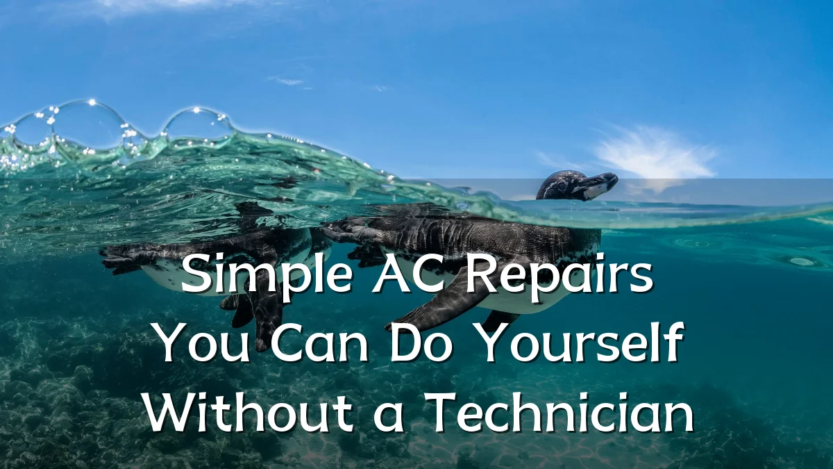 Simple AC Repairs You Can Do Yourself Without a Technician
