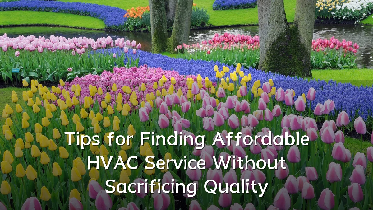 Tips for Finding Affordable HVAC Service Without Sacrificing Quality