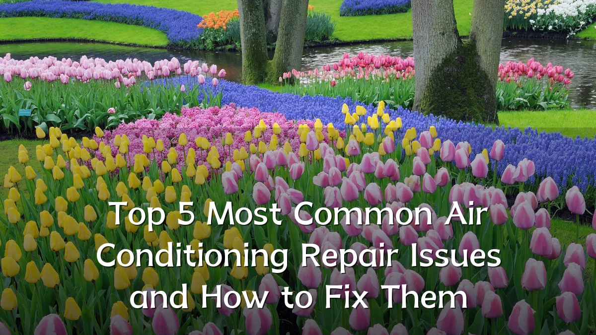 Top 5 Most Common Air Conditioning Repair Issues and How to Fix Them