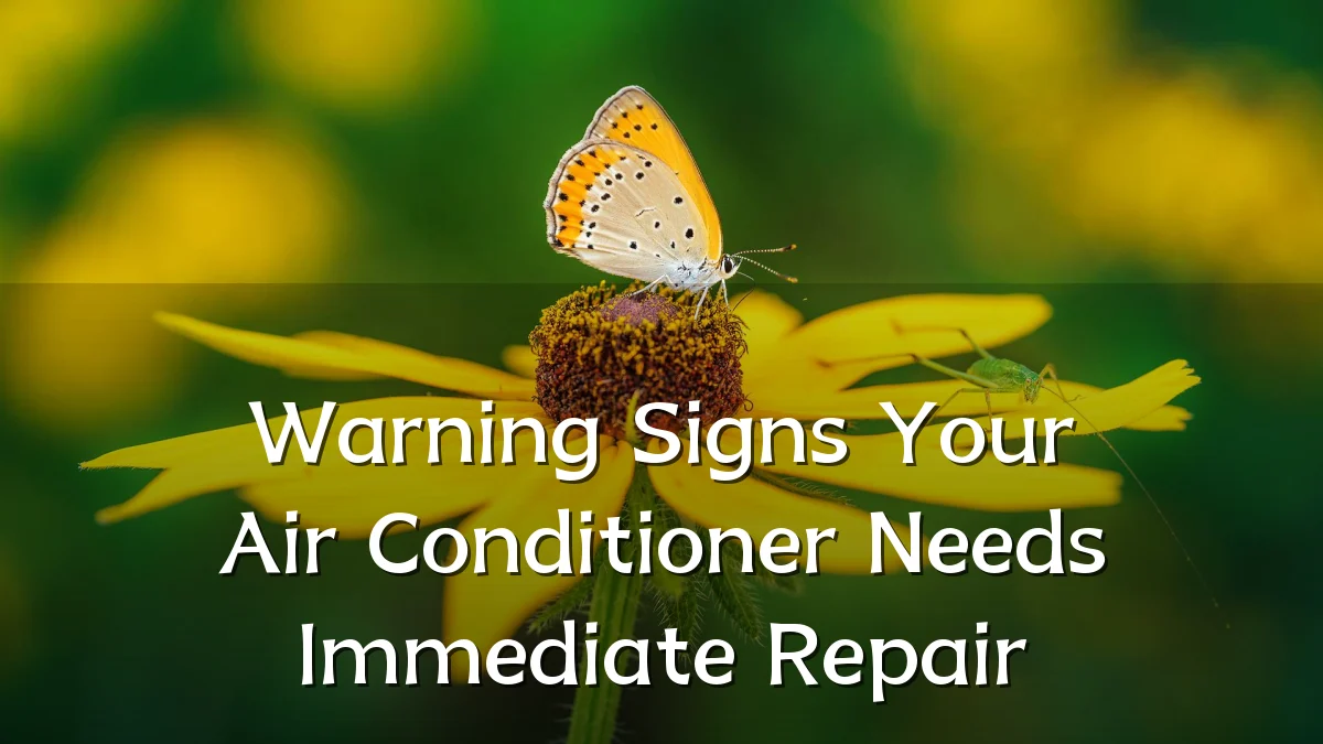 Warning Signs Your Air Conditioner Needs Immediate Repair