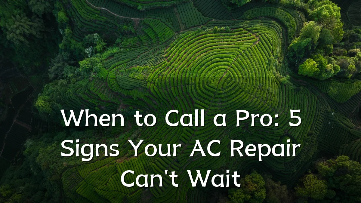 When to Call a Pro: 5 Signs Your AC Repair Can't Wait