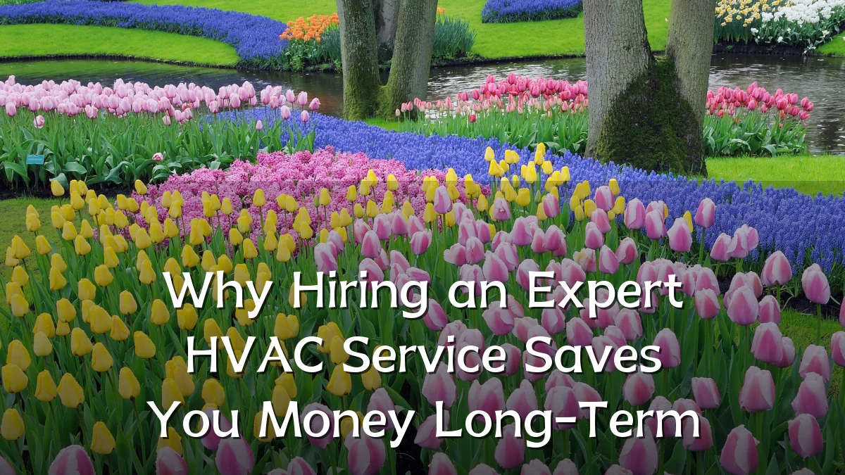 Why Hiring an Expert HVAC Service Saves You Money Long-Term