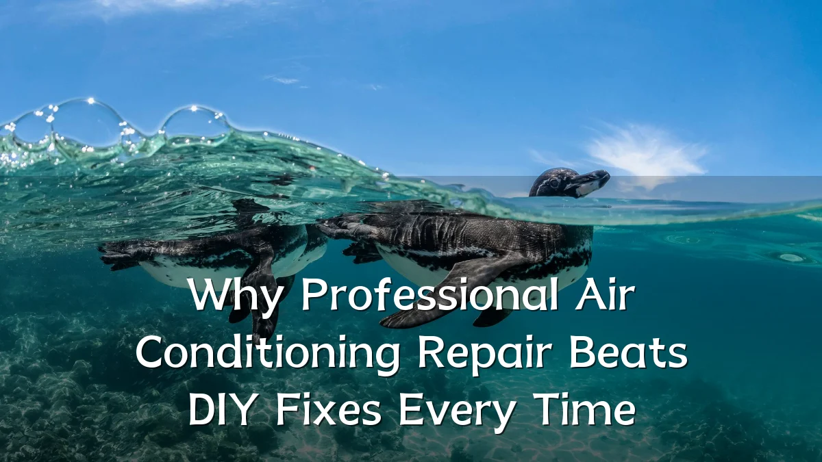 Why Professional Air Conditioning Repair Beats DIY Fixes Every Time