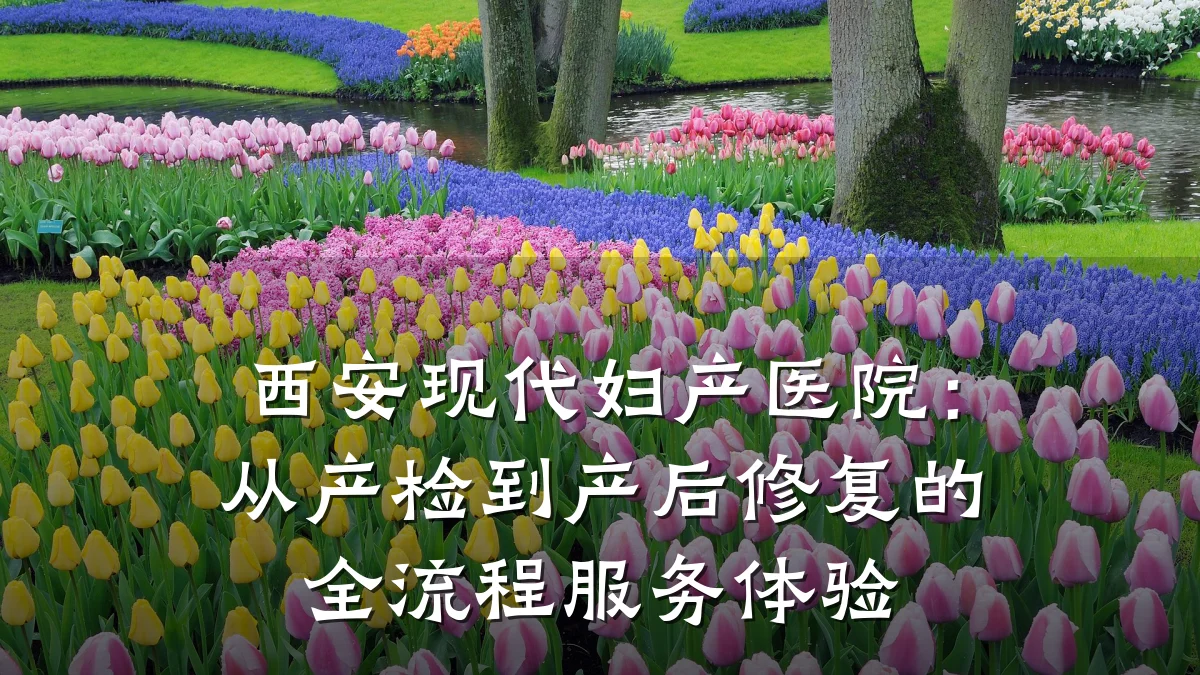 西安现代妇产医院:从产检到产后修复的全流程服务体验