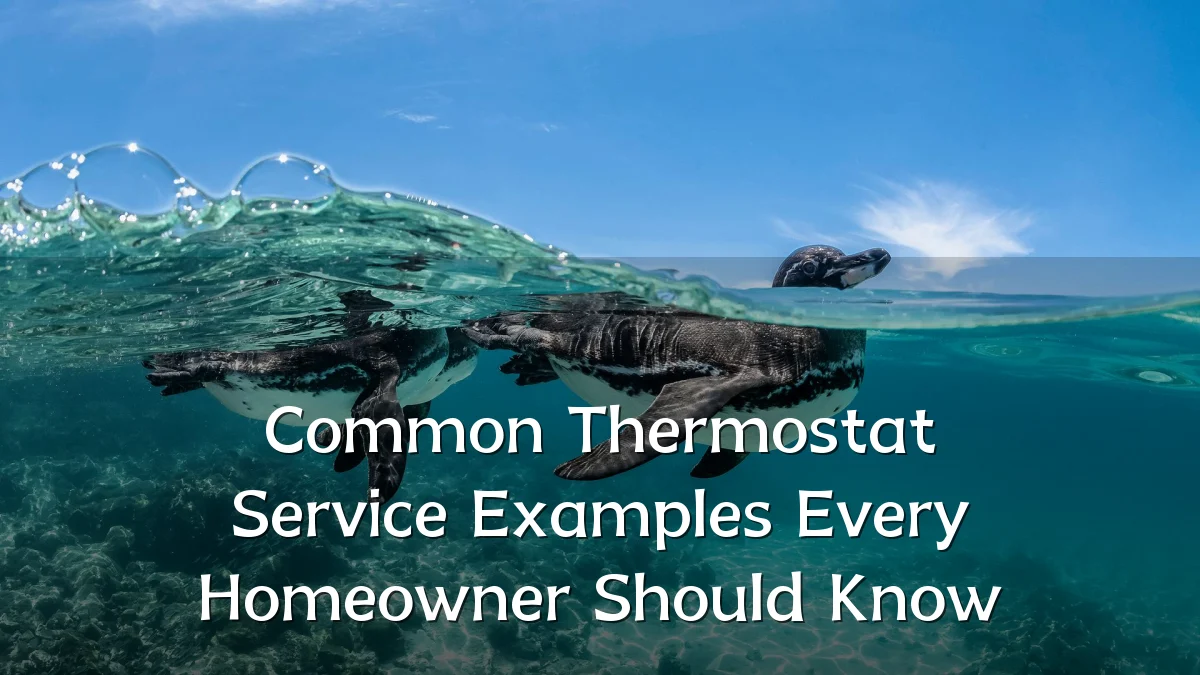 Common Thermostat Service Examples Every Homeowner Should Know