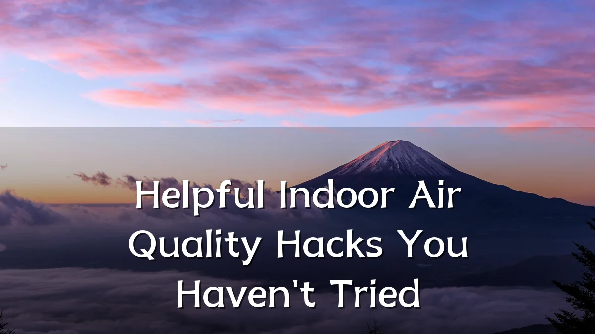 Helpful Indoor Air Quality Hacks You Haven't Tried
