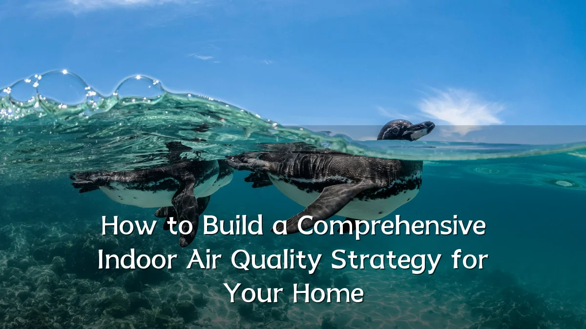 How to Build a Comprehensive Indoor Air Quality Strategy for Your Home