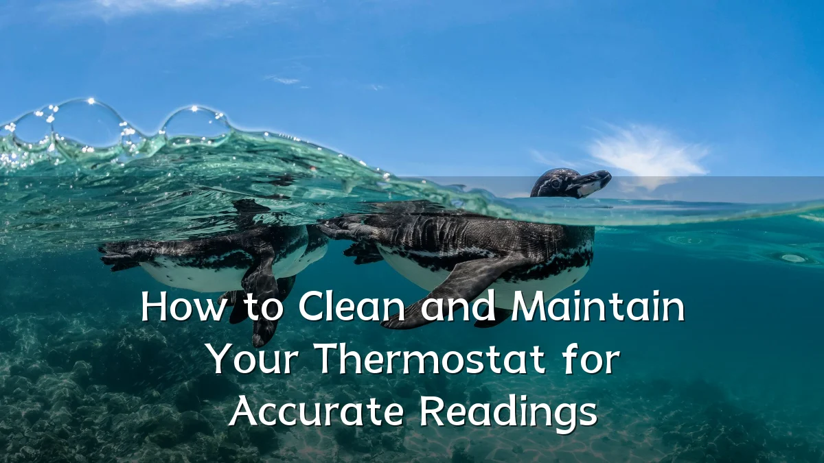 How to Clean and Maintain Your Thermostat for Accurate Readings
