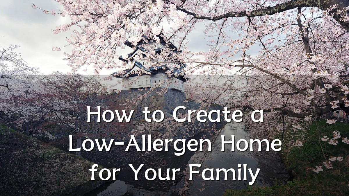 How to Create a Low-Allergen Home for Your Family