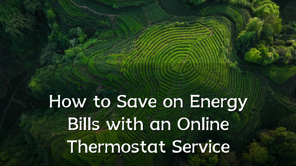 How to Save on Energy Bills with an Online Thermostat Service