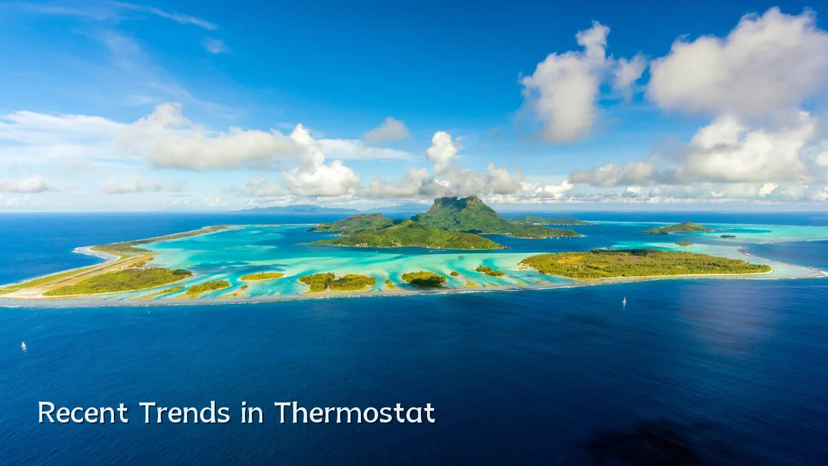 Recent Trends in Thermostat