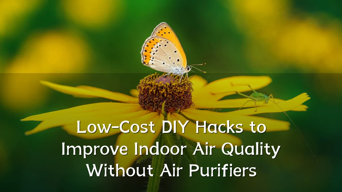 Low-Cost DIY Hacks to Improve Indoor Air Quality Without Air Purifiers