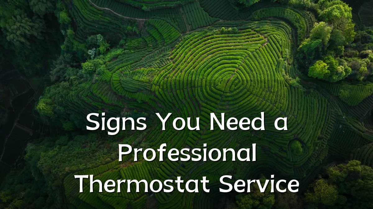 Signs You Need a Professional Thermostat Service
