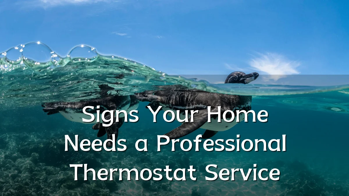 Signs Your Home Needs a Professional Thermostat Service
