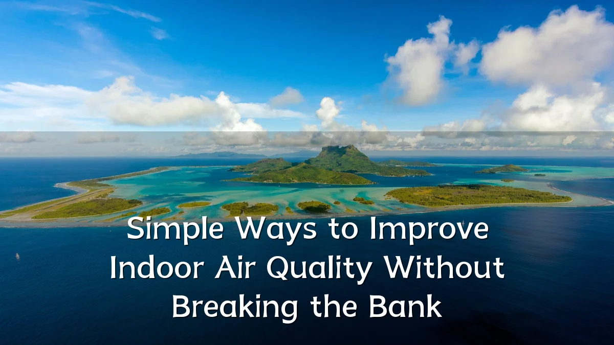 Simple Ways to Improve Indoor Air Quality Without Breaking the Bank