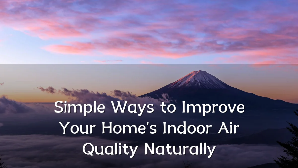 Simple Ways to Improve Your Home's Indoor Air Quality Naturally