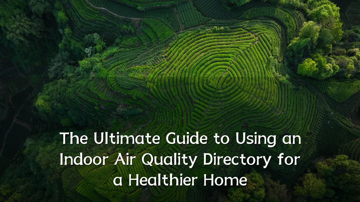 The Ultimate Guide to Using an Indoor Air Quality Directory for a Healthier Home
