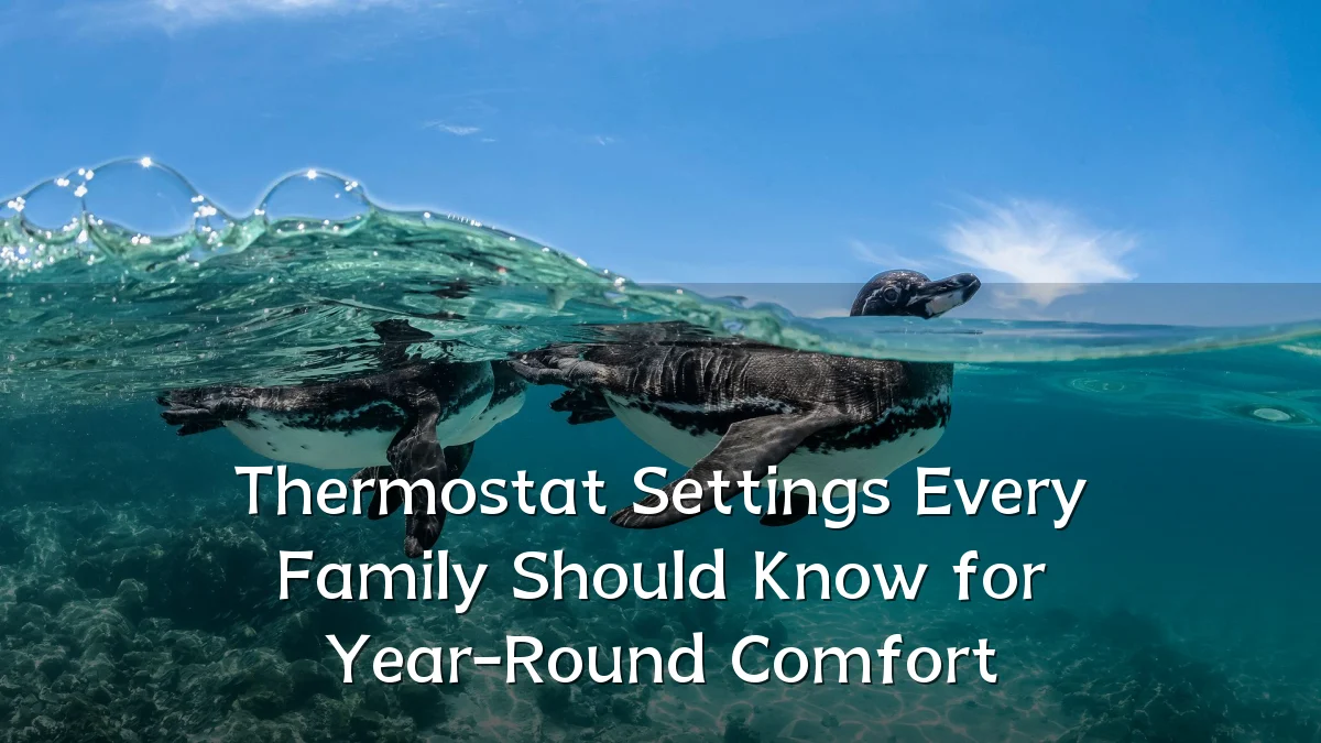 Thermostat Settings Every Family Should Know for Year-Round Comfort