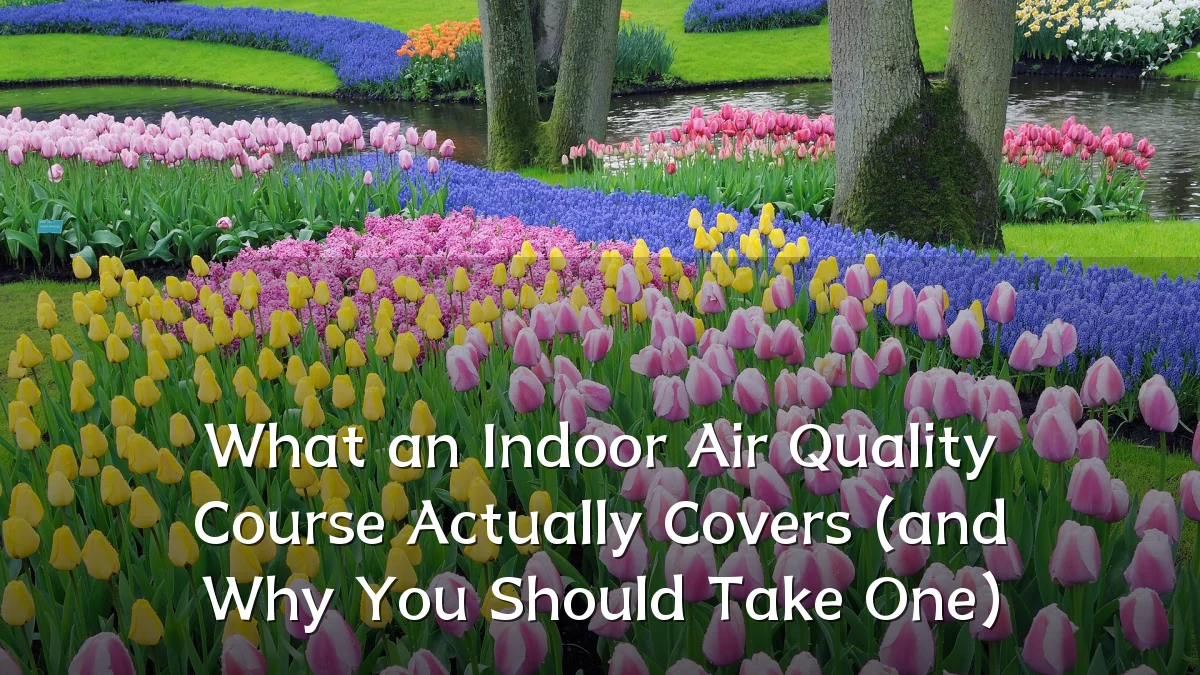 What an Indoor Air Quality Course Actually Covers (and Why You Should Take One)