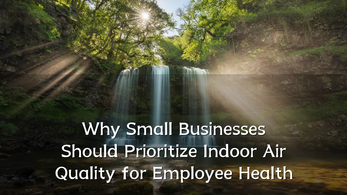 Why Small Businesses Should Prioritize Indoor Air Quality for Employee Health